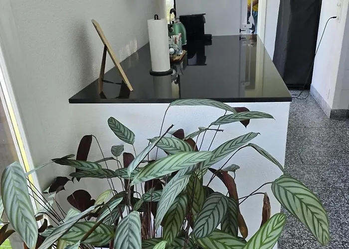 Paradise On The 펜션