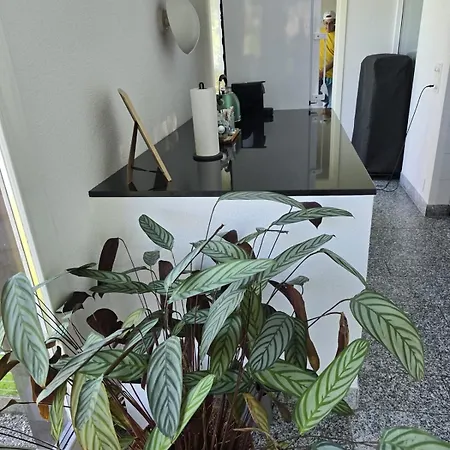 Paradise On The 別荘